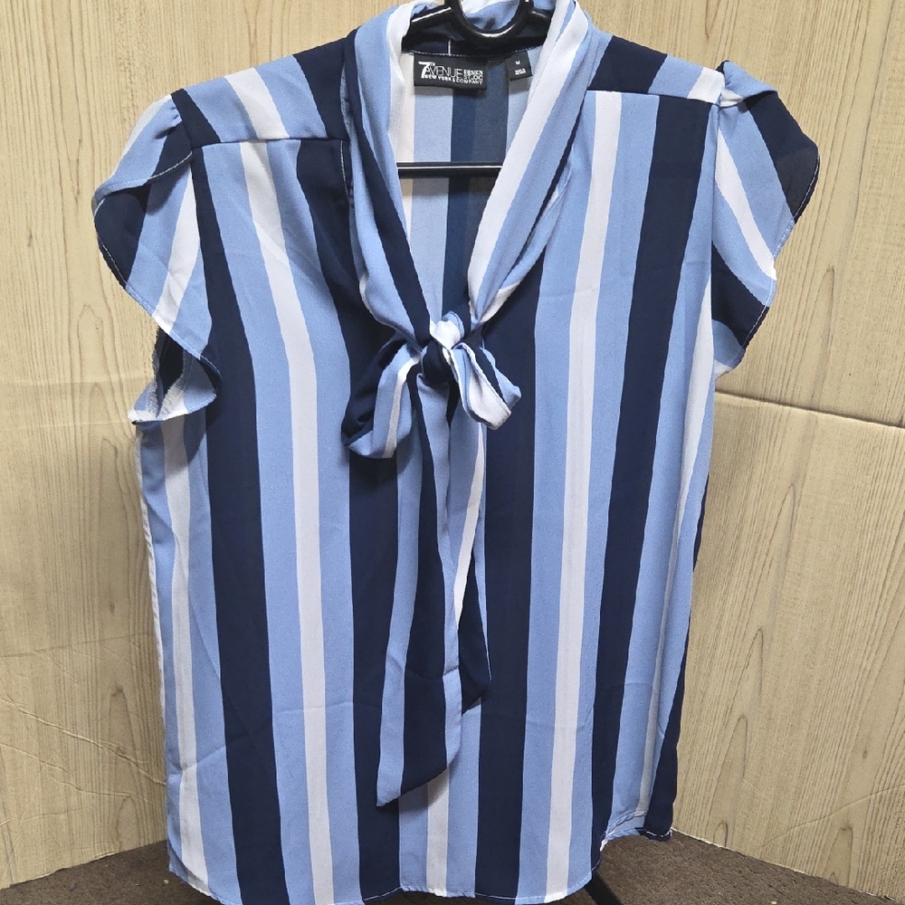 Zara Navy and Light Blue Striped Top